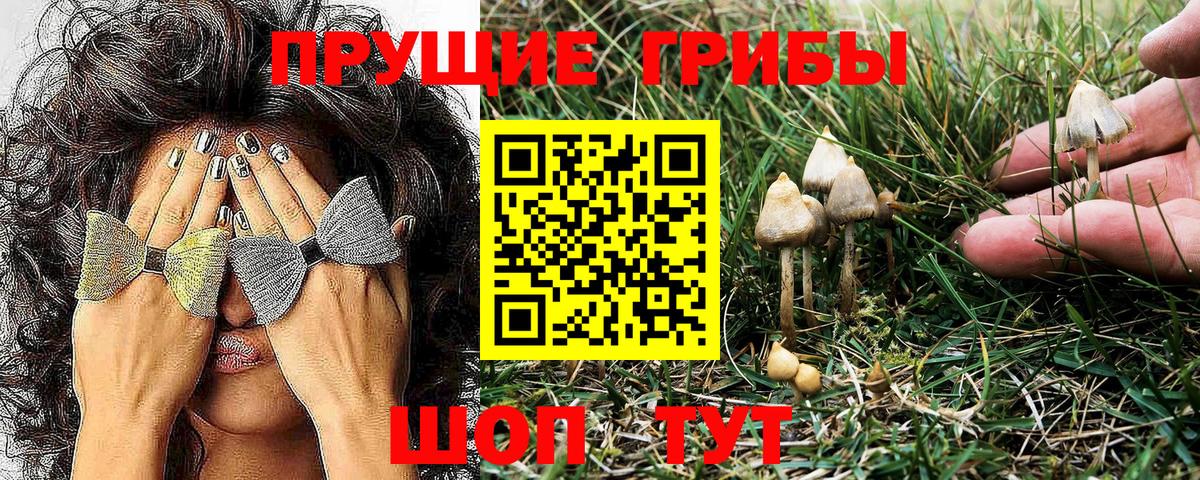Галлюциногенные грибы ЛСД  Псилоцибиновые грибы Magic Shrooms  Волоколамск  Вход с VPN 