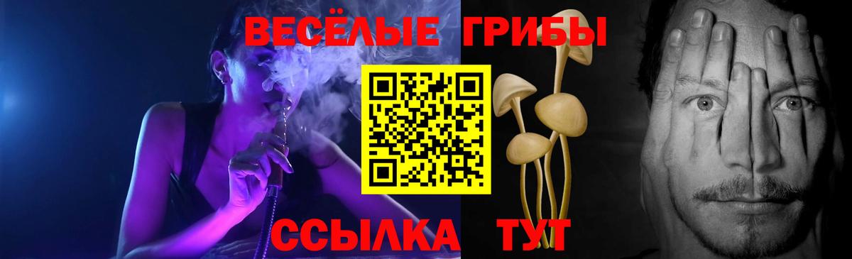 Галлюциногенные грибы GOLDEN TEACHER Волоколамск